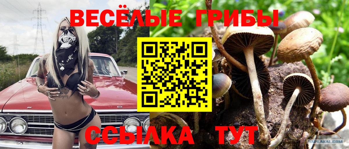 Галлюциногенные грибы Magic Shrooms Екатеринбург